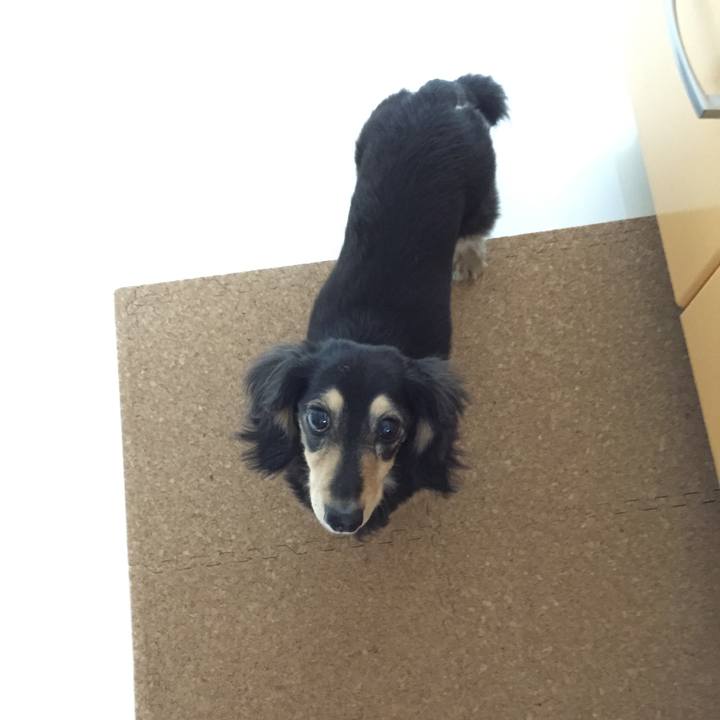 Feba7977 0db2 4e0d a961 3b4bb85afced