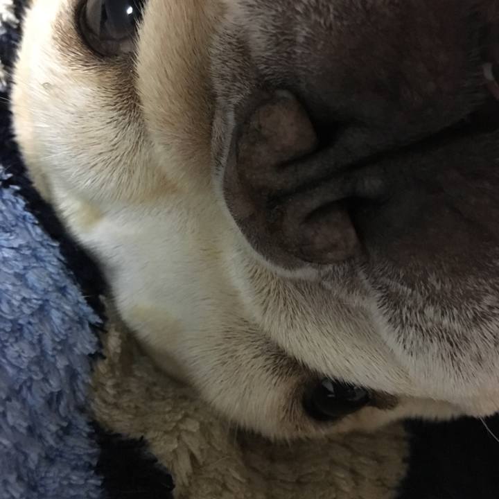 Febb6c87 cf3b 4ef3 913d f8dc43eee8cc