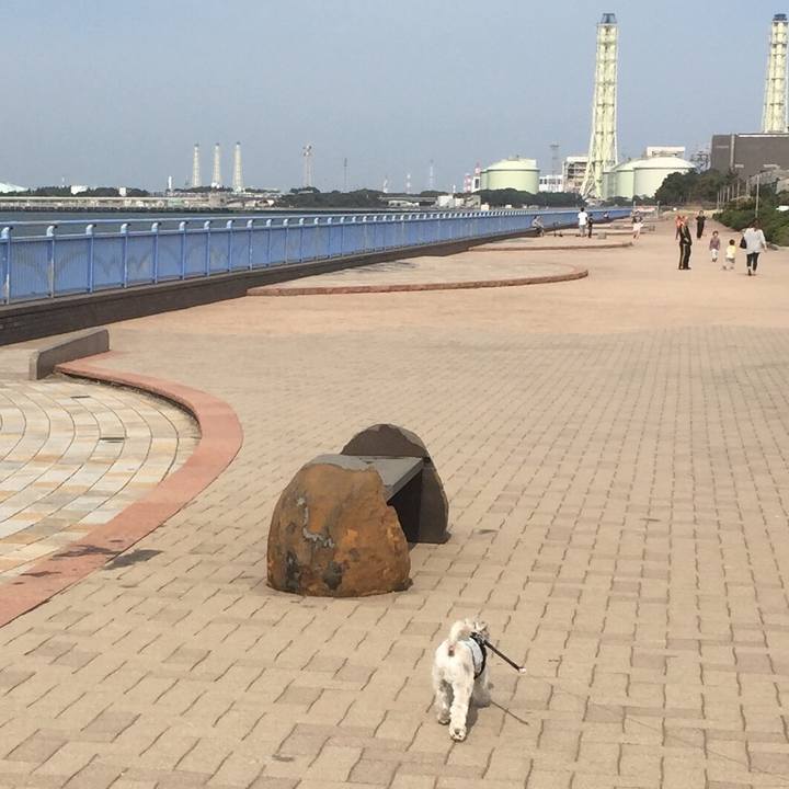 Febbe286 c3dd 43df 8695 0697fb6da59a