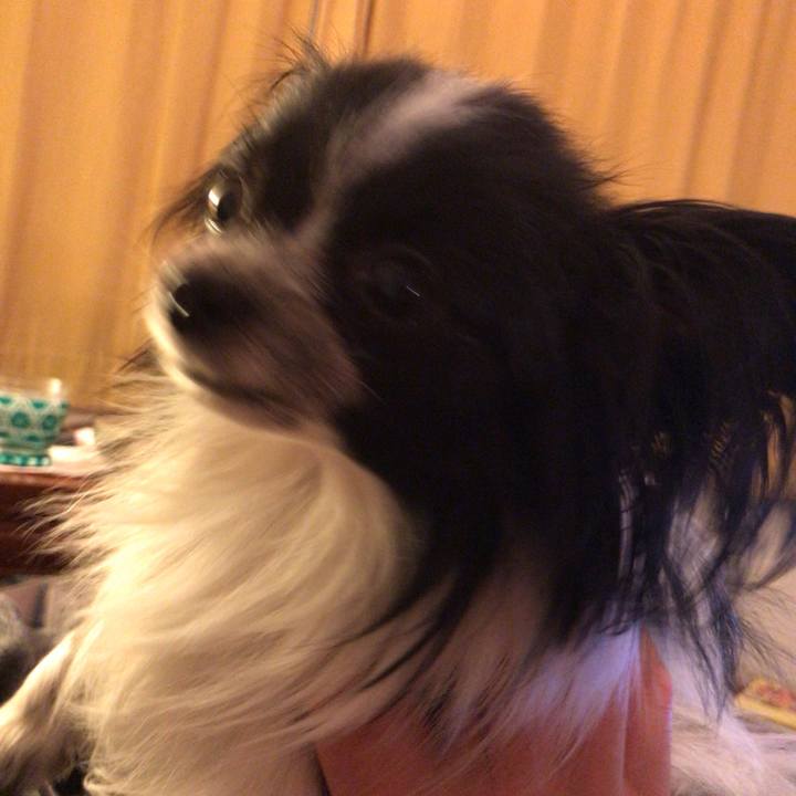 Febc680c 8c91 4b7d 89ec 9dde7e660199