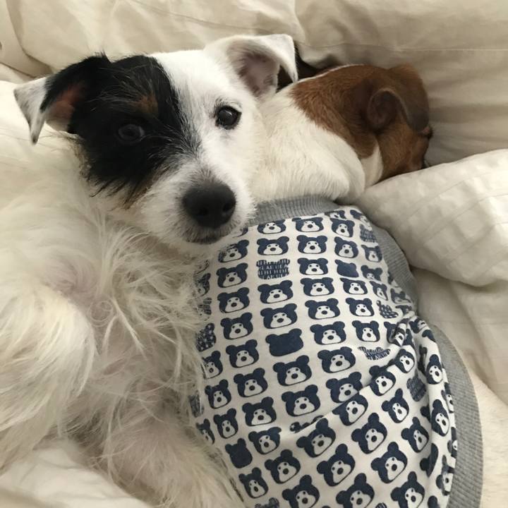 Febcea00 b07e 4f81 bb4d ced5caec43e5