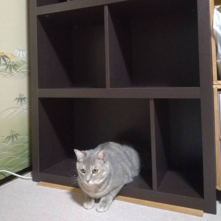 Febcfb74 c34a 4391 82ef 938f8dfacf3d