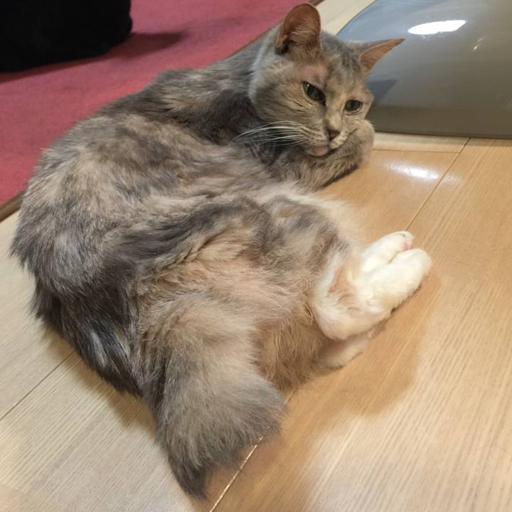 Febd1a89 2105 476a 974e 8d322318753c