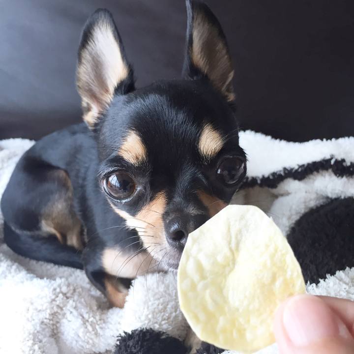 Febd97f4 2281 40ed a8bf b15d72162472