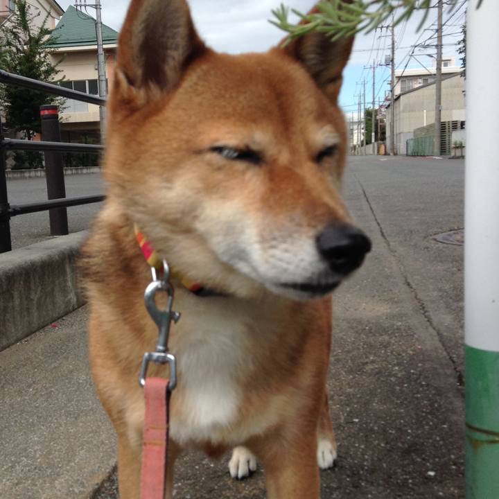 Febe2b2e 3b11 41c8 8306 f10748bb9b33