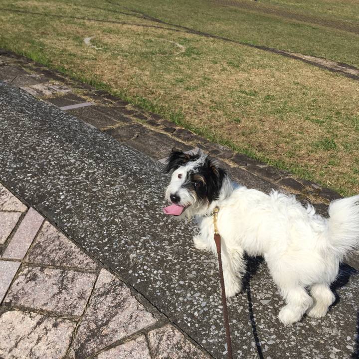 Febe7512 1cff 45ea 8711 26d601095363