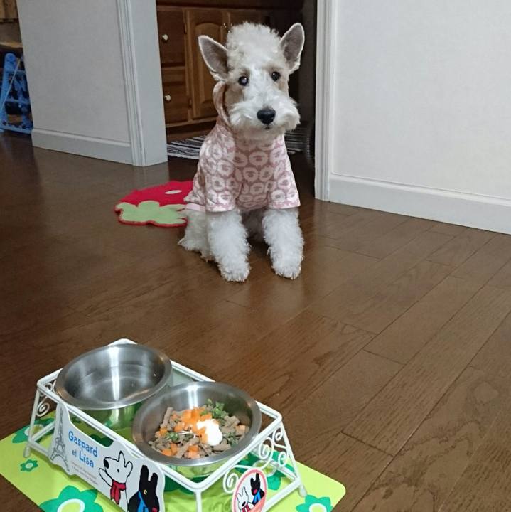 Febf31dd 0b05 4c82 8c1b 2d7f464238b9