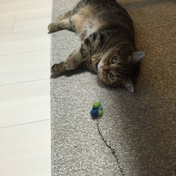 Febfe207 786d 47b1 a311 a414a69a4b38