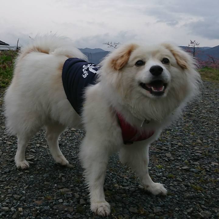 Fec01175 945e 4dd0 ad06 916fed224614