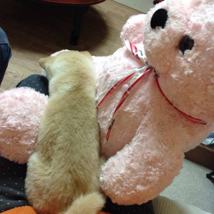 Fec056cc 71e3 4bd8 9bf1 b14d9ec315e5