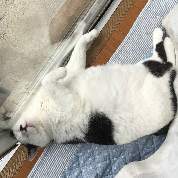 Fec0803d 549e 4267 b46f a7bb3473e38d