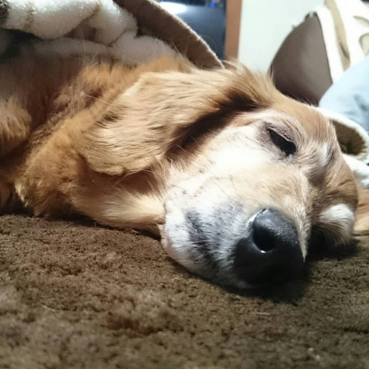 Fec3a280 f310 41e9 95f1 1828aae2f29f