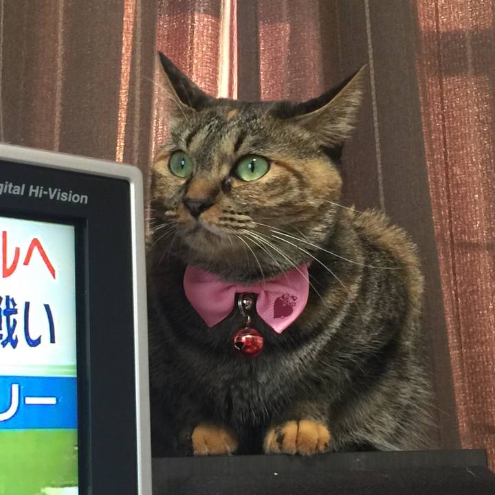 Fec3c192 039f 42fa 81d7 a93b865942fe