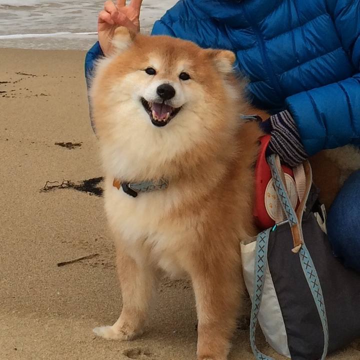 Fec409ae 32b3 49f9 bc45 50037c00a7b1