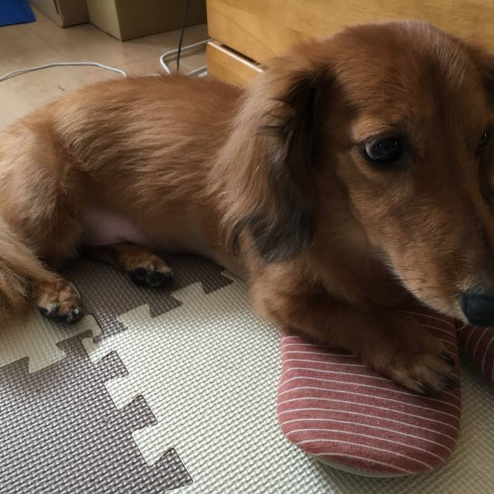 Fec4b94d 93a8 4fbe a704 3486ee68b34d