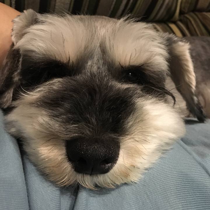 Fec4e2f6 fb37 4077 adfb 8991ed08138b