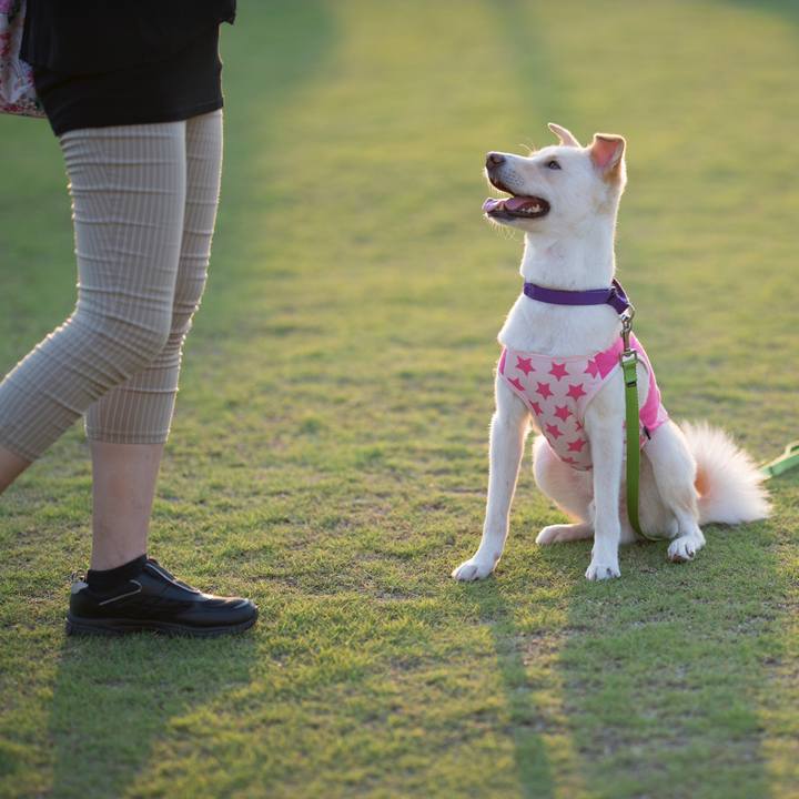 Fec50e19 df59 488a bb48 b54f4eb904cf