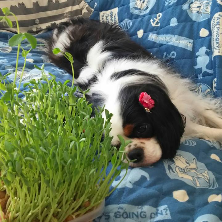 Fec5c164 2262 4354 b2c8 166c93be3388