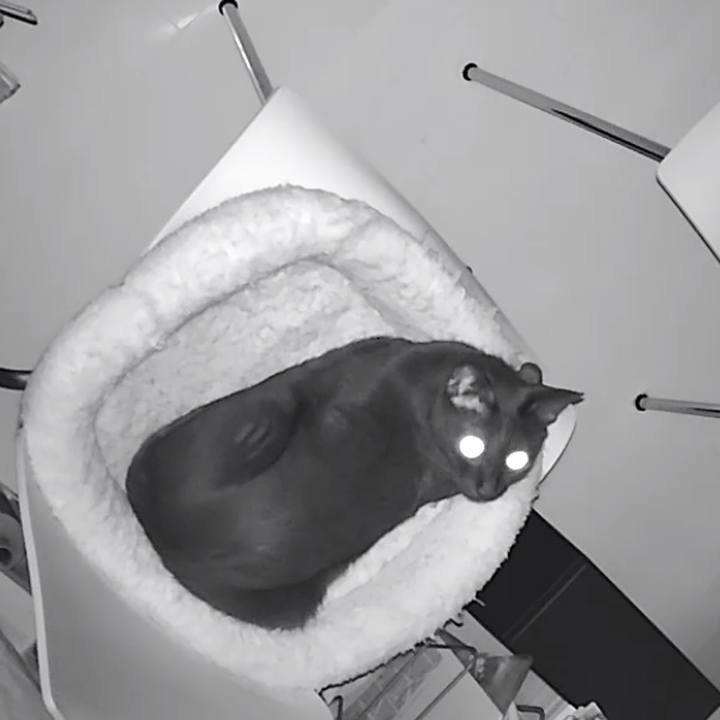 Fec5e1e1 2aa2 4467 a669 47490c4d1269