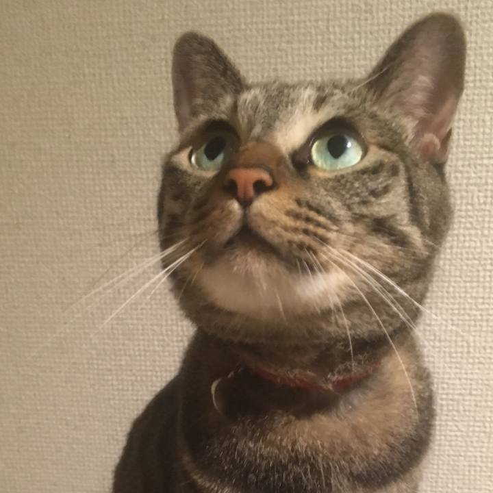 Fec6a608 b07a 4016 98f8 0fed298ed788