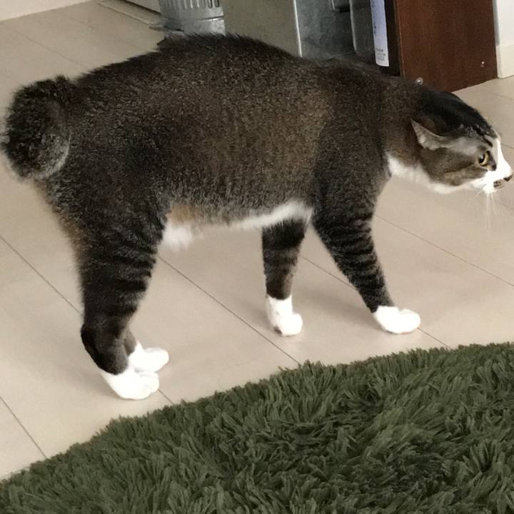 Fec730e0 be43 48cb 9b65 9d9337ef7318