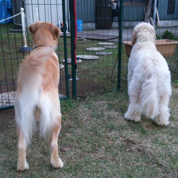 Fec7352a 345b 4421 9800 1bb89f23564b