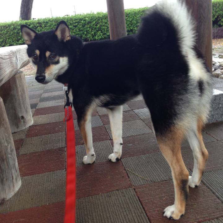 Fec775ae 8cb3 4266 993d 8f91ceaf0a3d