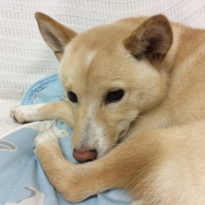 Fec7dbc7 6472 4f84 9c55 bcfdd84fe2f7