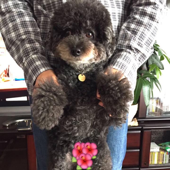 Fec84305 c5f1 45aa aaa7 f8d97ef0658c