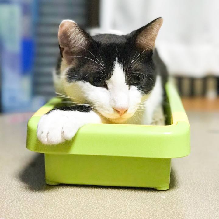 Fec8e1c9 69c5 4d84 a15c bb69a1f8dbcb