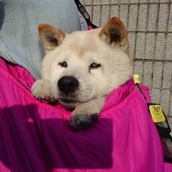 Fec8f675 fab6 4ffe aad6 4e7c0dee3441