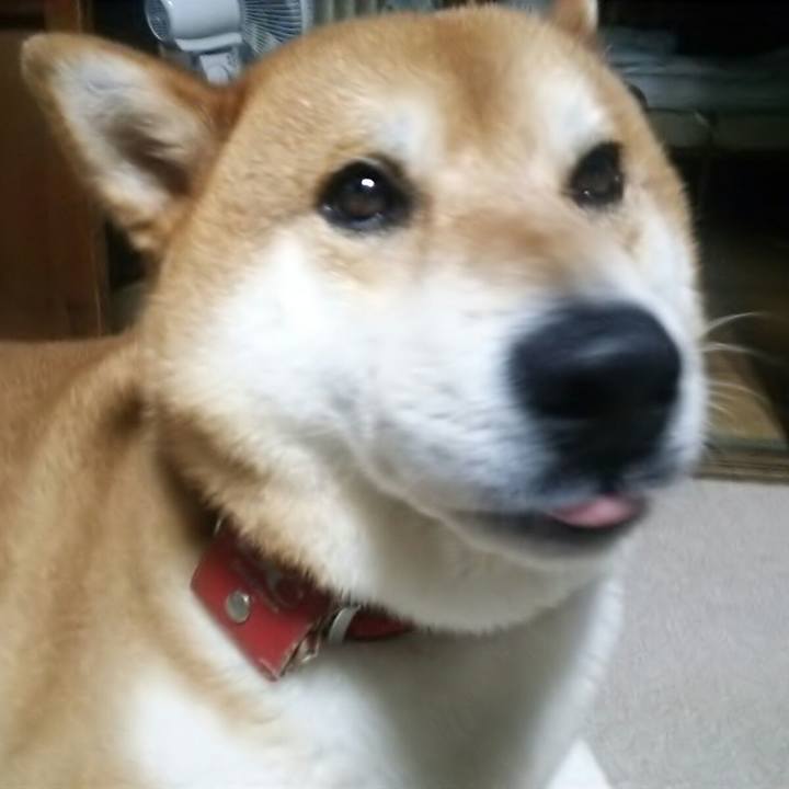 Fec9052c 230f 4238 83a4 93e9ab68d852