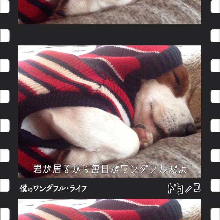 Fec907cb 5bff 4899 8ae2 d7c5e507e50d