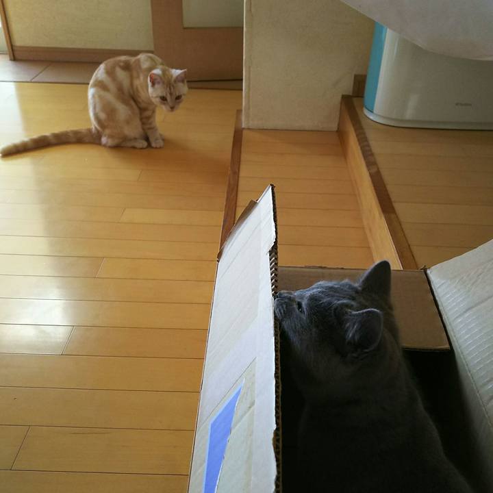 Fec93e8f 1970 41f6 883c 395c27c71c43