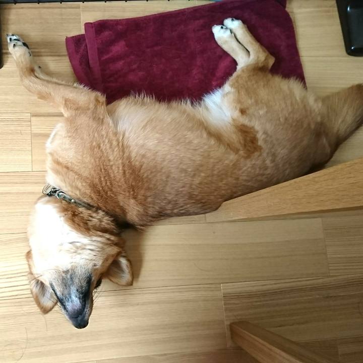 Fec9d1b7 4f4f 4136 97ba 3984f7b518d2