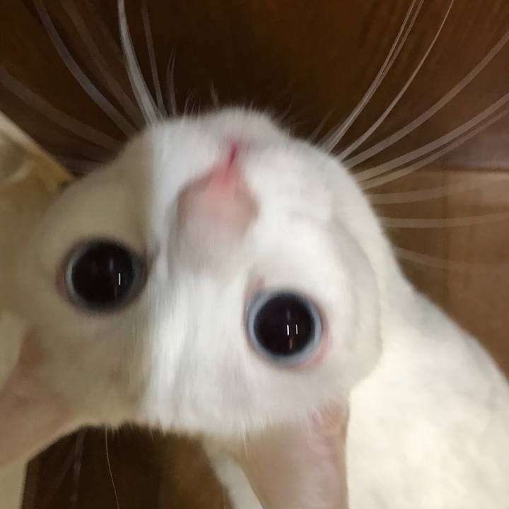 Fecaf908 61cc 4c8c a132 3edb6db85a36