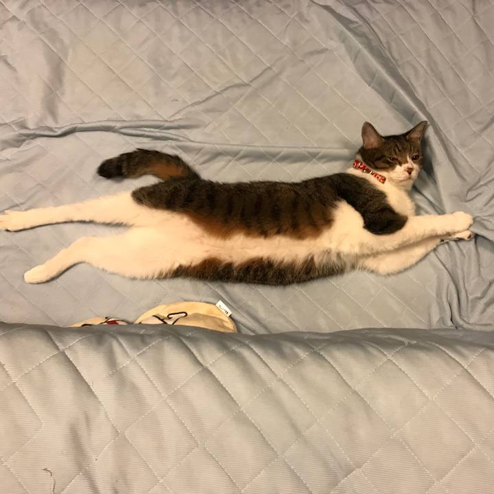 Fecb81db aa32 41d0 84a3 6bc59644a639