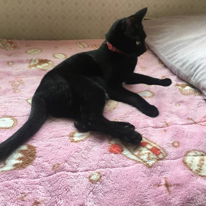 Fecc220c ba98 4a9a b9f2 a6d31d9d38df