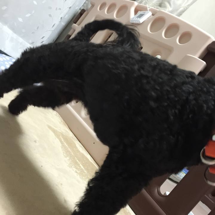 Fecd7fe0 666e 4ddc 823b 6e5cad1880a0