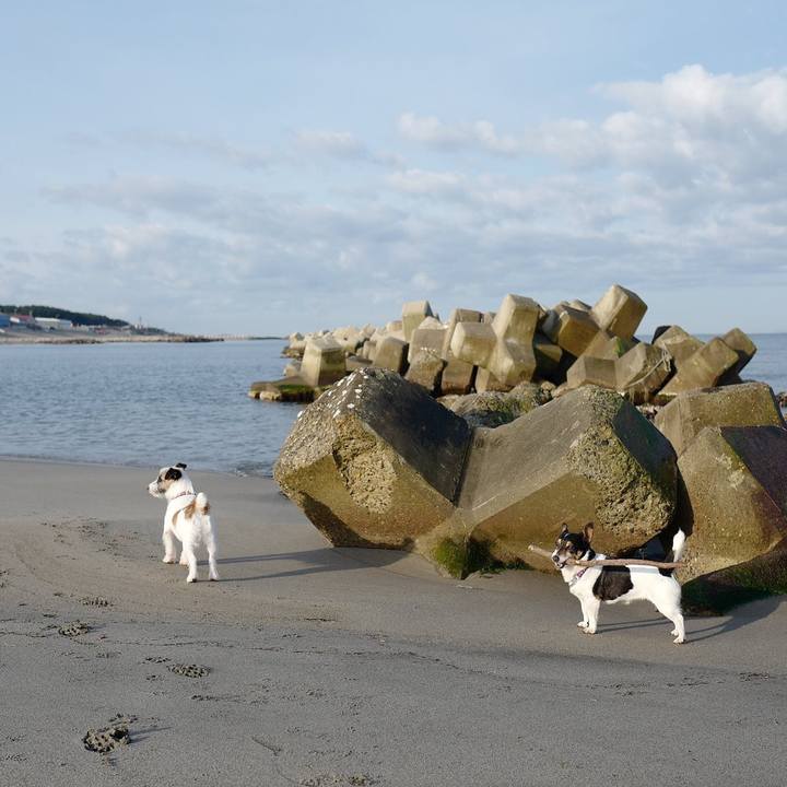 Fece13ac e705 4cd2 8d03 e589984c9d91