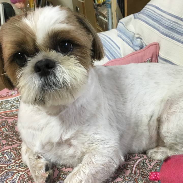 Fece65c5 5504 4e30 a07d bd134dc28790