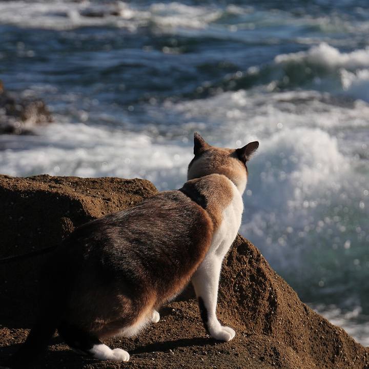 Fece8663 177e 423d a6e6 12eed5be666c