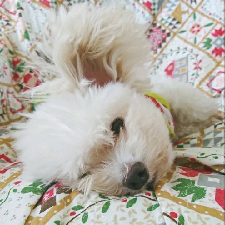 Fece9a36 3901 47f4 8d93 ebdf98fedcac