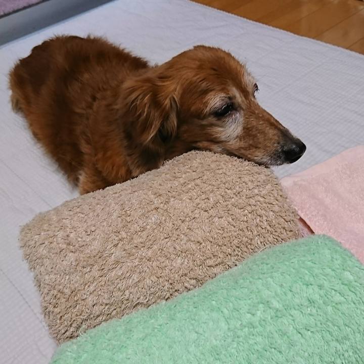 Fecf6179 06b5 47a5 8bbf 2a4ad575cff4