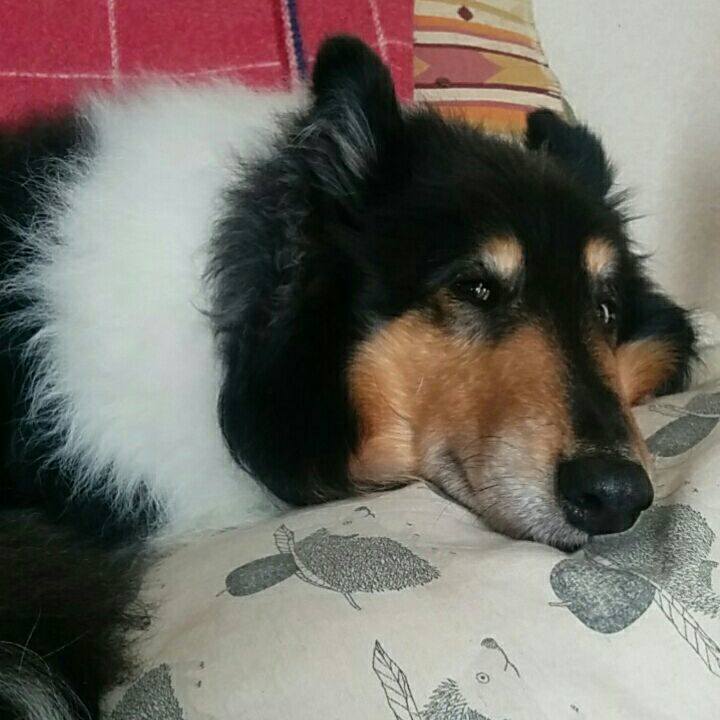 Fecfbeaa f896 4399 a129 b618423a6f30