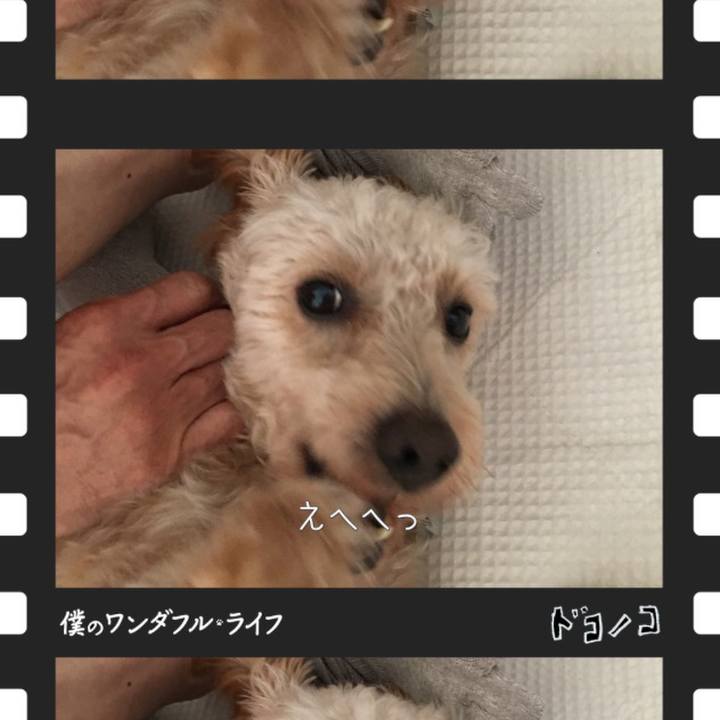 Fed02b63 3984 4901 9b79 5024140a9fb7