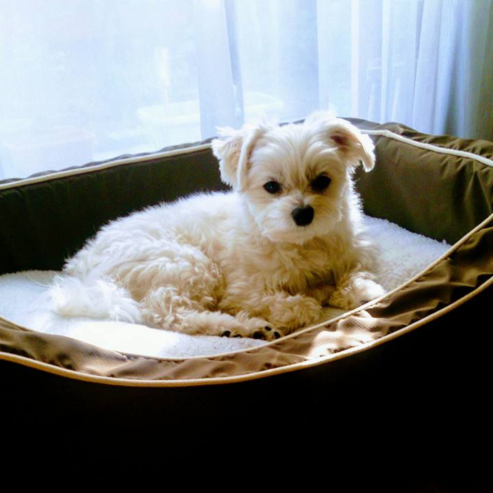 Fed03d4c ac62 40aa 96fd 0921f21b2435