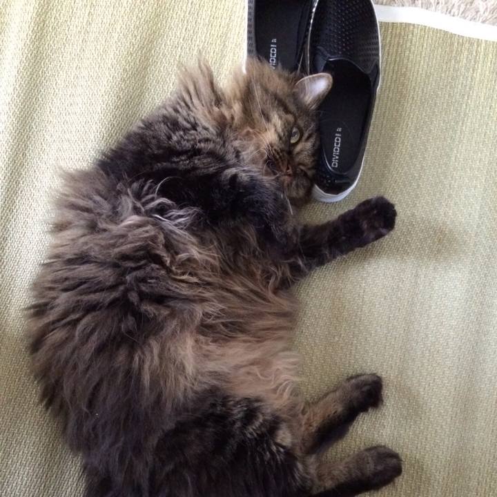 Fed06560 b82a 4946 8daa c1145250b635