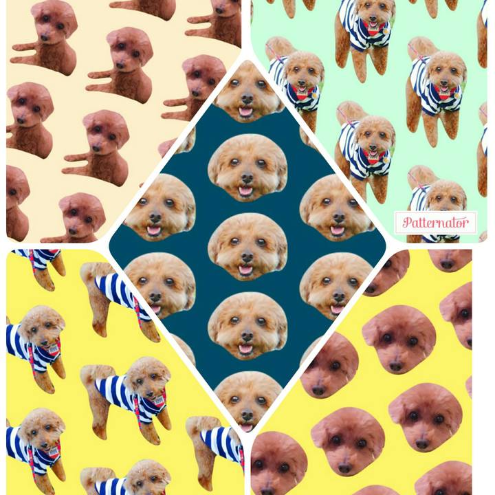 Fed08d62 ea26 43c8 9a5d b8eb5638b4dd