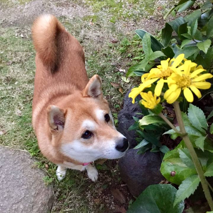 Fed0bf0b b82e 4547 88cc 7217087a5489